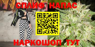 ПСИЛОЦИБИНОВЫЕ ГРИБЫ Моздок
