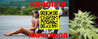 ГАЛЛЮЦИНОГЕННЫЕ ГРИБЫ Нальчик