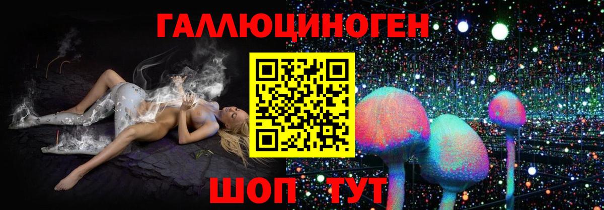 Псилоцибиновые грибы Cubensis  Вход с VPN  Татарск 